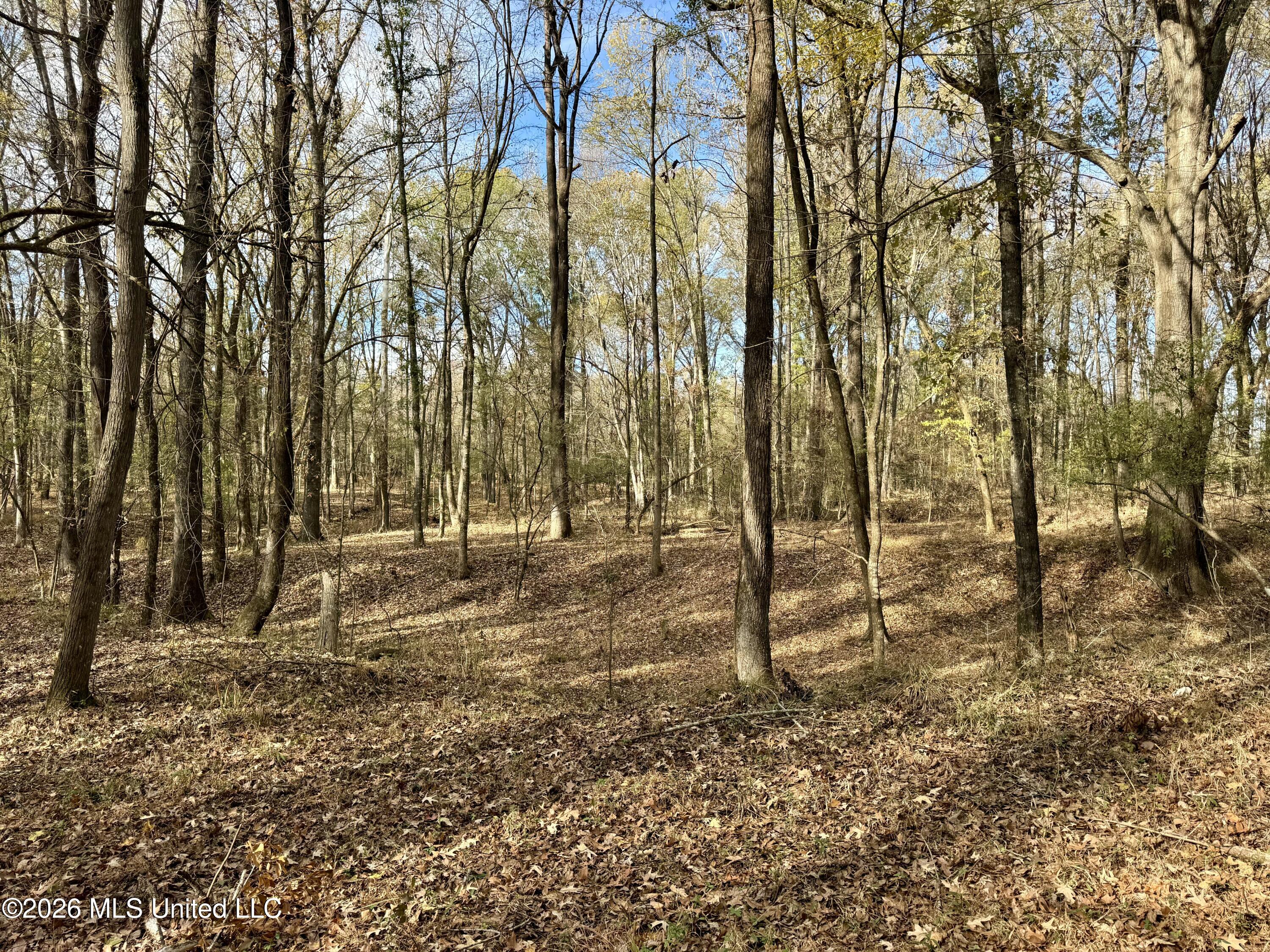 560 Pocahontas Road Flora, MS 39071 - Photo 30 of 53 81AD59E7-7D3F-4CFE-8223-41E23F8F392D