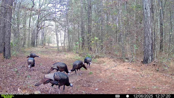 $6,720,000 | 560 Pocahontas Road, Flora, MS 39071