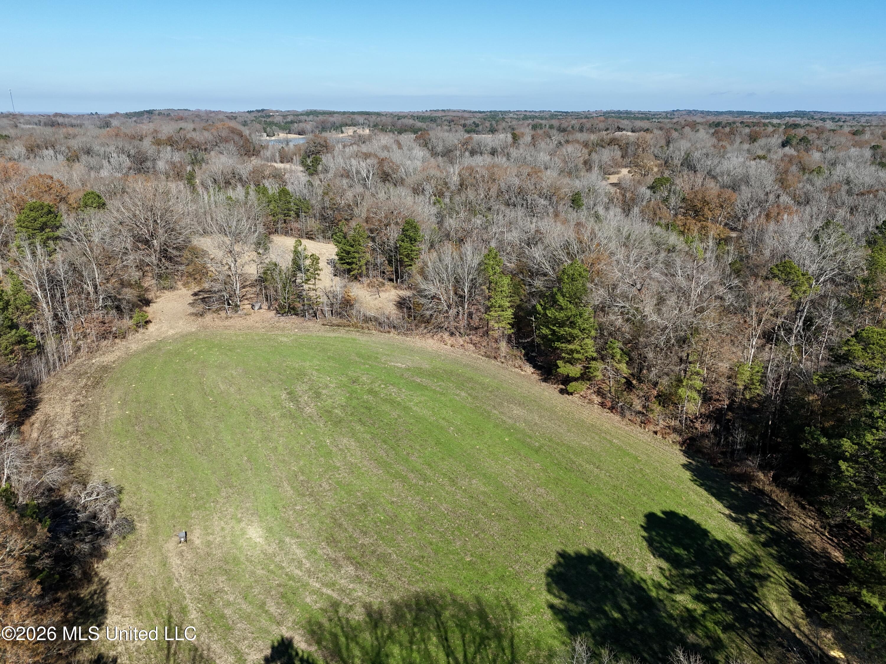 560 Pocahontas Road Flora, MS 39071 - Photo 31 of 53 EFB0FA2E-FCEC-445C-B174-68CEB24D4D48