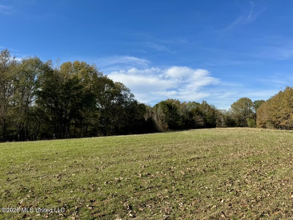 560 Pocahontas Road Flora, MS 39071 - Photo 32 of 53 6F925B7D-5696-49C4-9B22-F852A3E5D93C_1_1