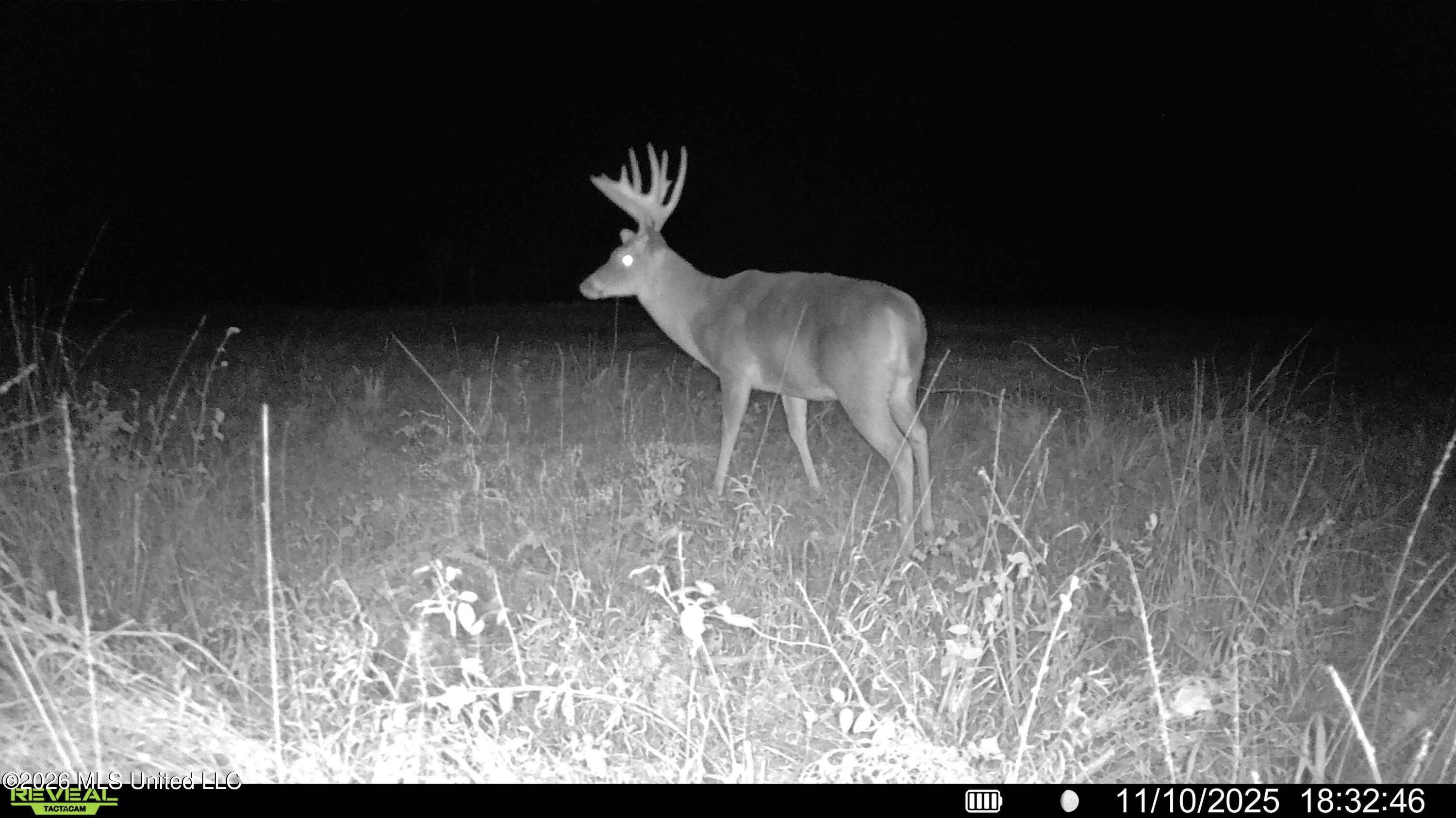 560 Pocahontas Road Flora, MS 39071 - Photo 35 of 53 DB5A5D20-C02F-4D38-920E-A5C1B2ACB547