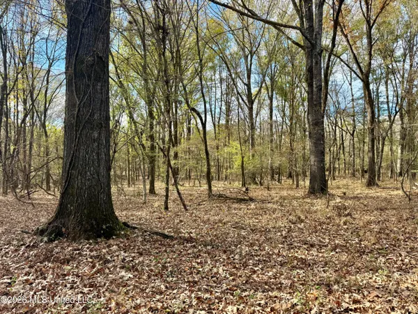 $6,720,000 | 560 Pocahontas Road, Flora, MS 39071