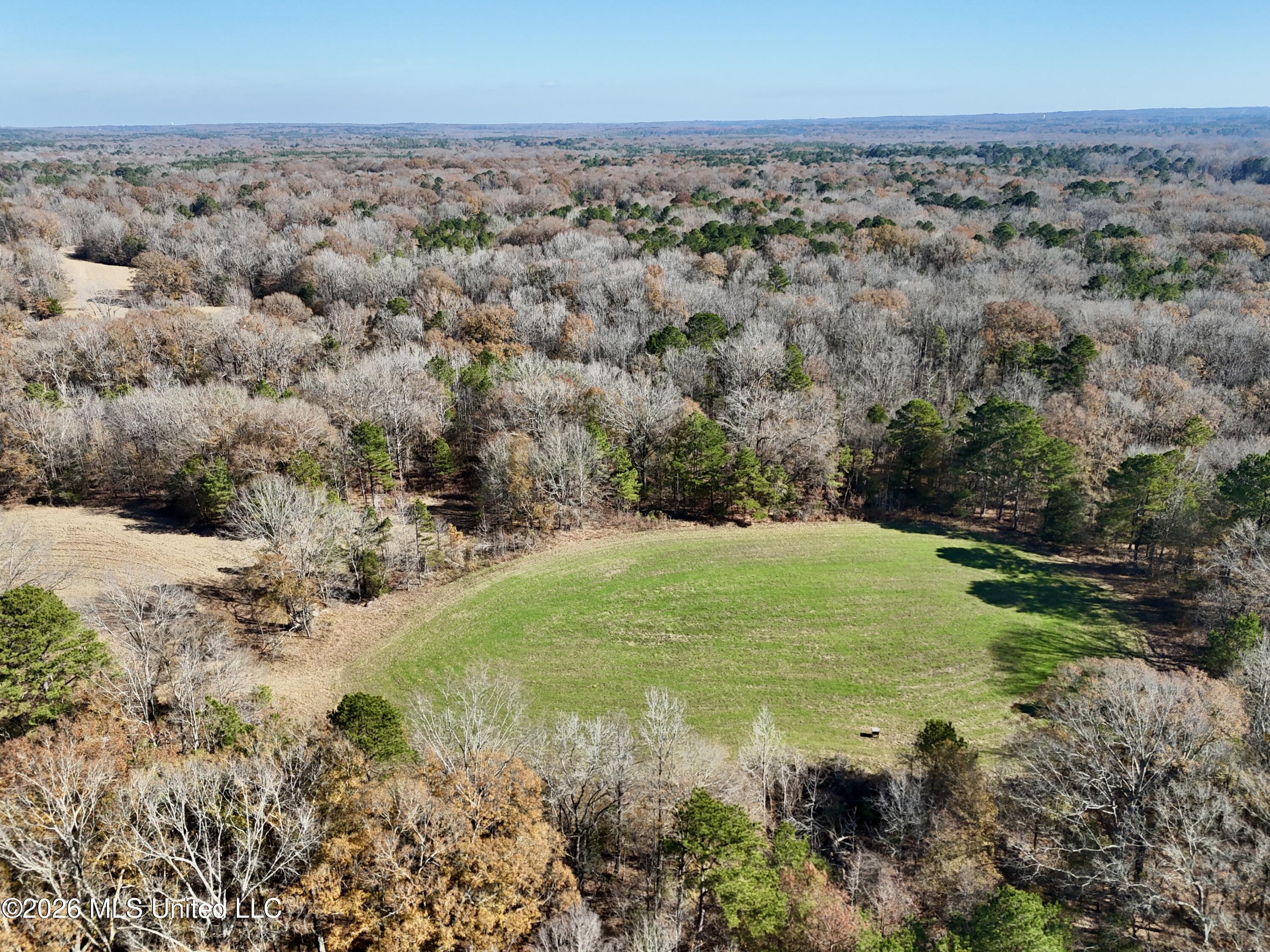 560 Pocahontas Road Flora, MS 39071 - Photo 46 of 53 1CE0D296-A4C3-477F-A7FD-CECBAE148DB3