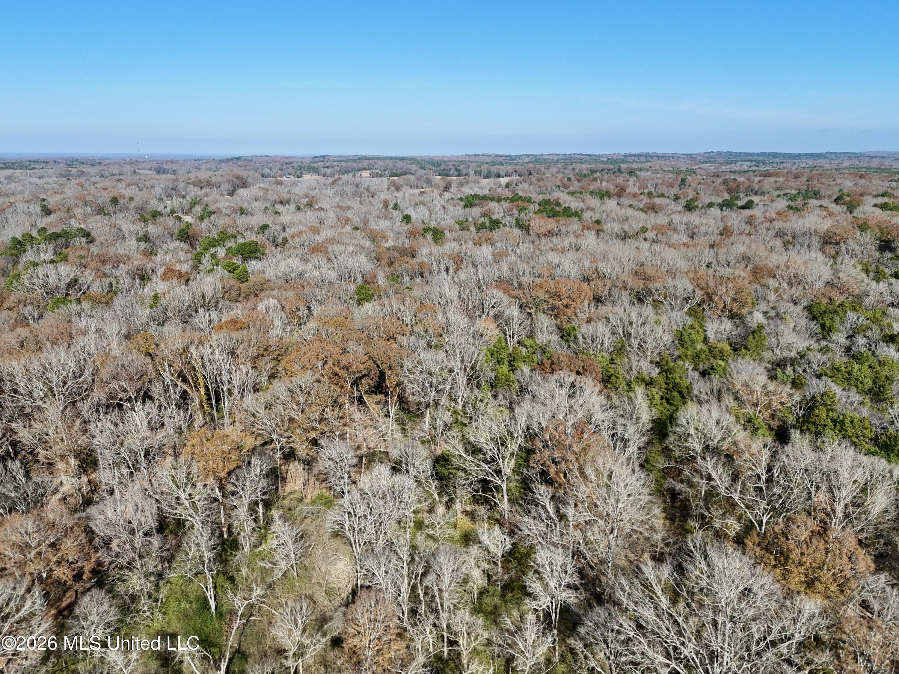 560 Pocahontas Road Flora, MS 39071 - Photo 49 of 53 B0884FE0-70D7-4DAD-8089-4D087D8301B0
