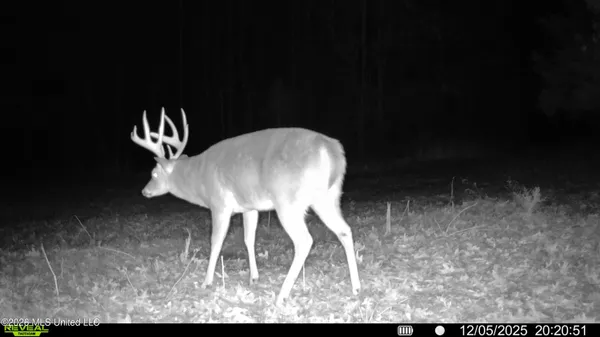 $6,720,000 | 560 Pocahontas Road, Flora, MS 39071