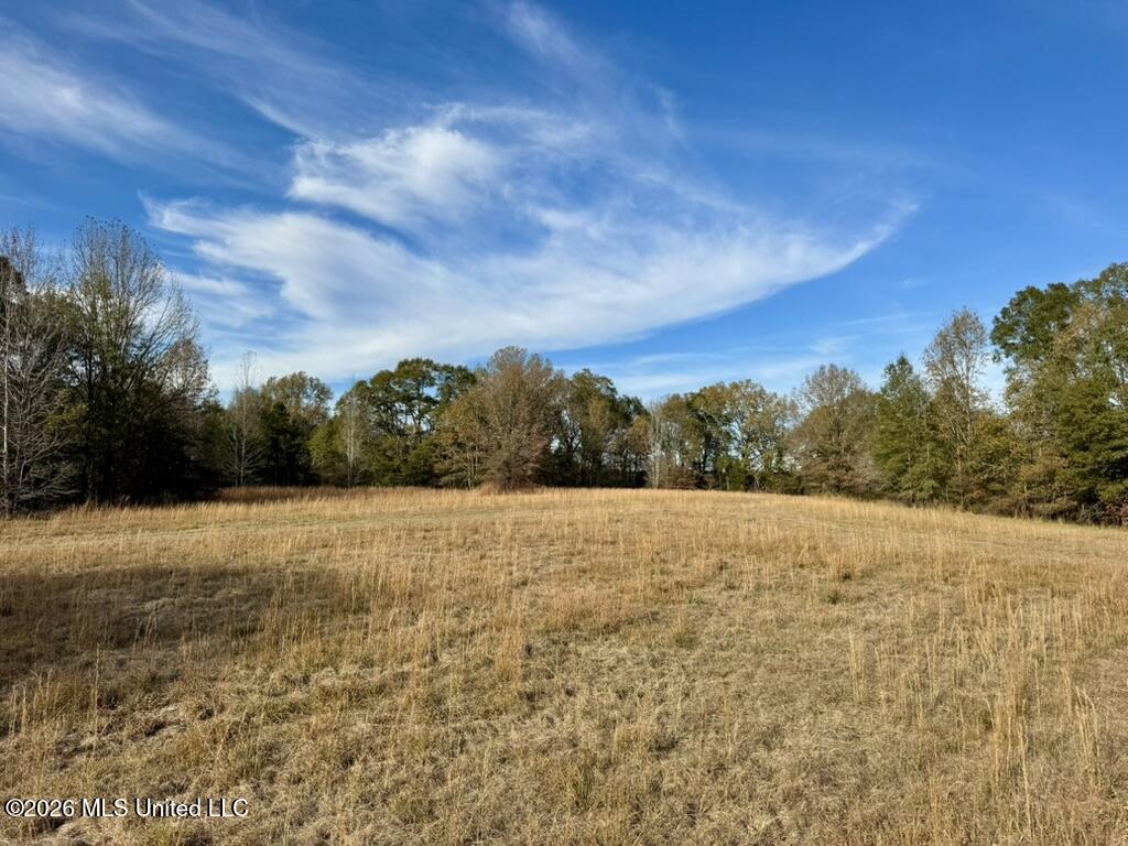 560 Pocahontas Road Flora, MS 39071 - Photo 53 of 53 49578B2B-F050-408B-BD68-6F598792E420_1_1