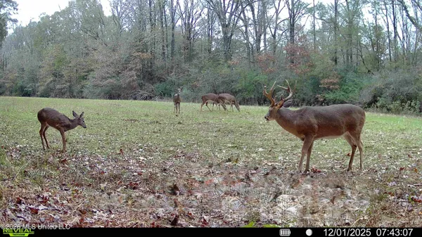 $6,720,000 | 560 Pocahontas Road, Flora, MS 39071