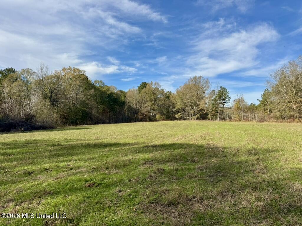 560 Pocahontas Road Flora, MS 39071 - Photo 10 of 53 595E8F73-0955-4206-A180-118E30644A62_1_1