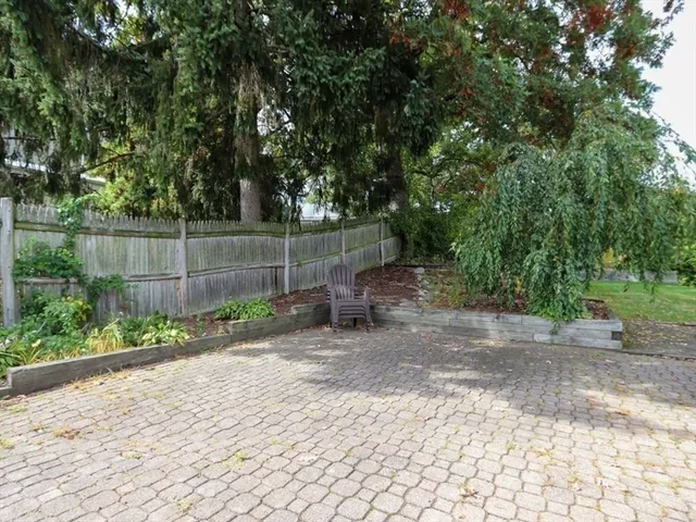 a view of a park with a bench and trees