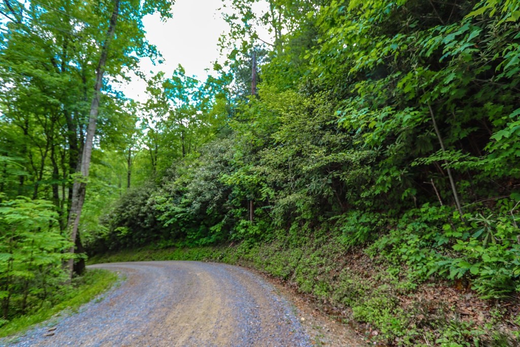 0 Acres Cosby, TN 37722 - Photo 28 of 28 Gallery Image 28
