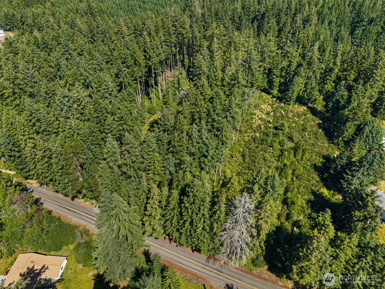 1030 East Phillips Lake Road Shelton, WA 98584 - Photo 13 of 21