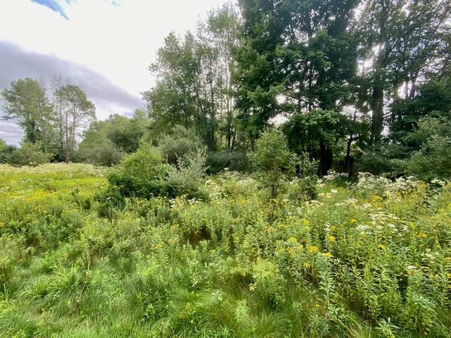 $49,900 | 2840 Route 55, Bethel, NY 12720