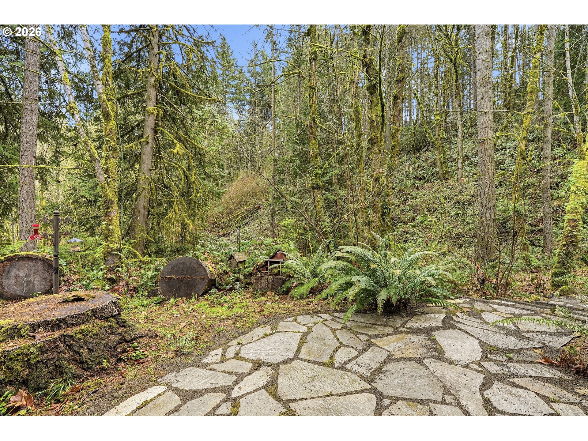 15680 South Wave Road Mulino, OR 97042 - Photo 35 of 43 a view of a backyard