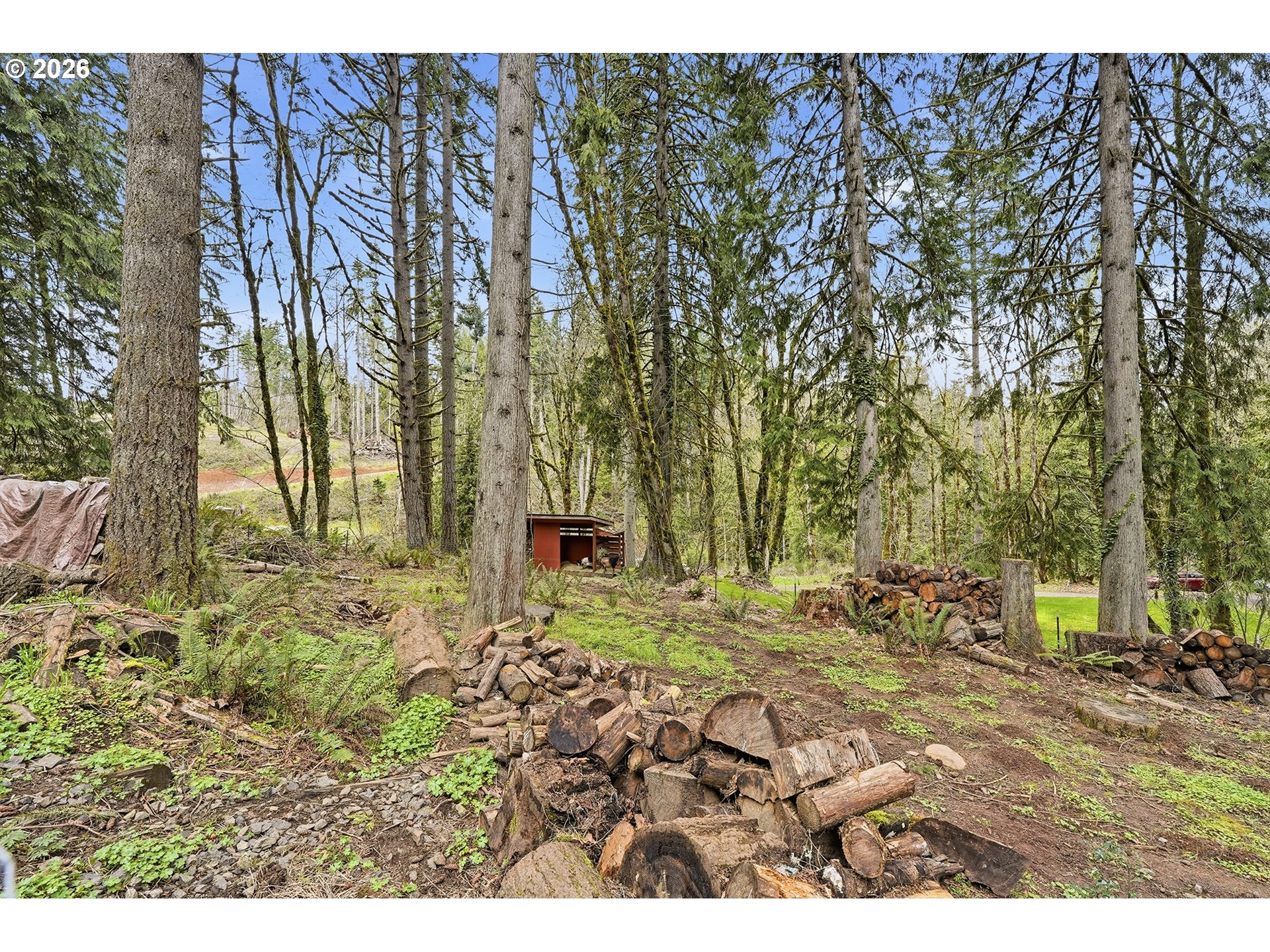 15680 South Wave Road Mulino, OR 97042 - Photo 41 of 43 a view of outdoor space with trees