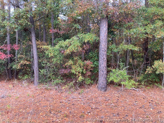 514 Porter Road Hope Mills, NC 28348 - Photo 2 of 4 Gallery Image 2