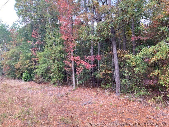514 Porter Road Hope Mills, NC 28348 - Photo 3 of 4 Gallery Image 3