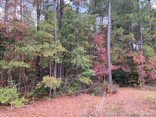 514 Porter Road Hope Mills, NC 28348 - Photo 4 of 4 Gallery Image 4