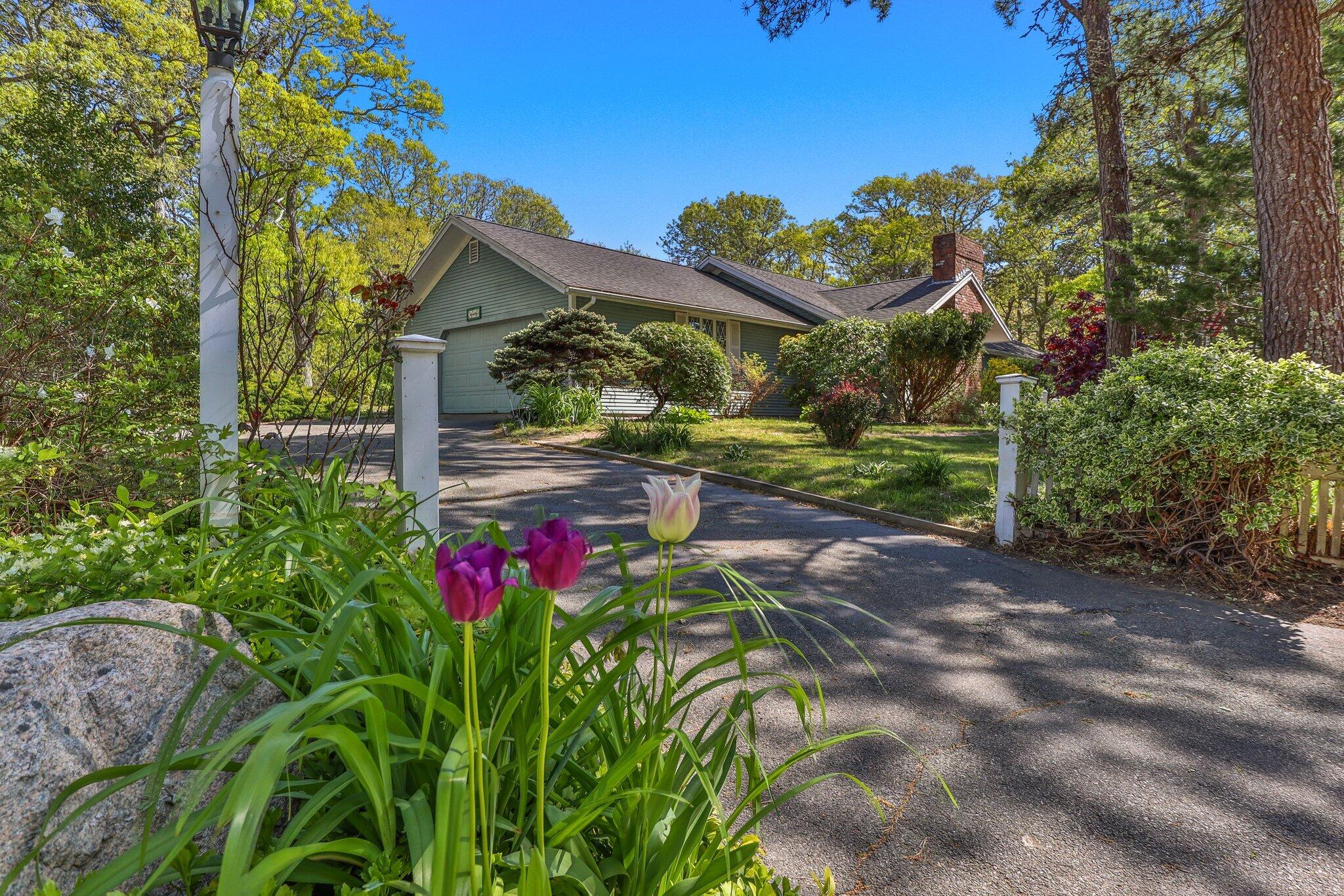 a backyard of a house with lots of green space