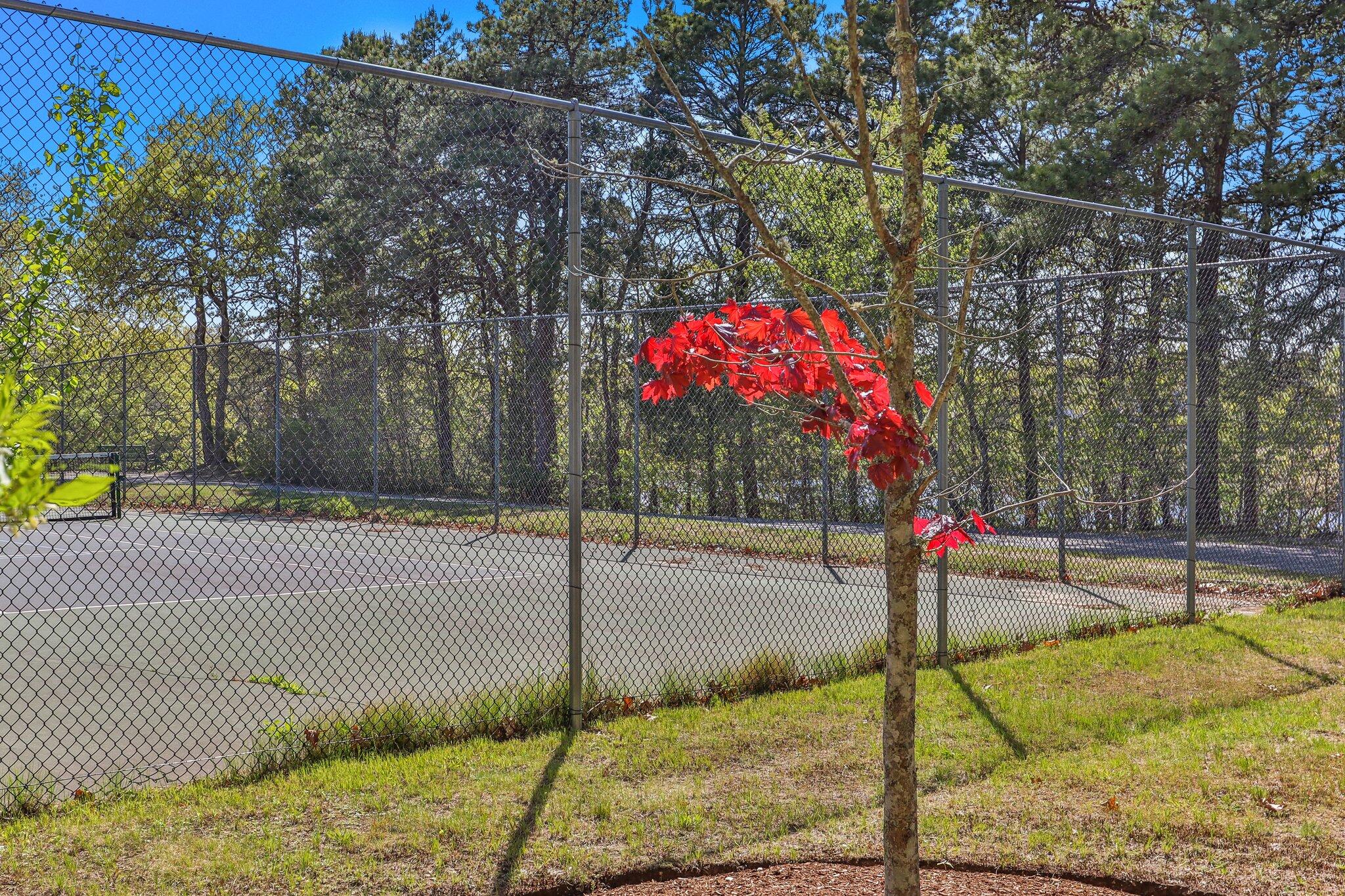 472 Elliott Road Centerville, MA 02632 - Photo 34 of 36 a view of a park