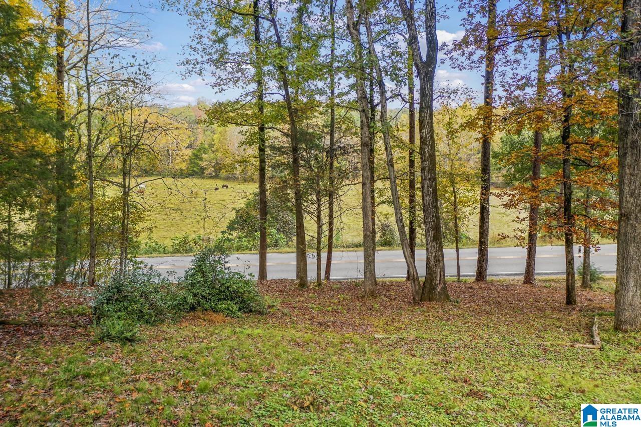 3210 Spring Creek Road Calera, AL 35040 - Photo 34 of 34 Gallery Image 34