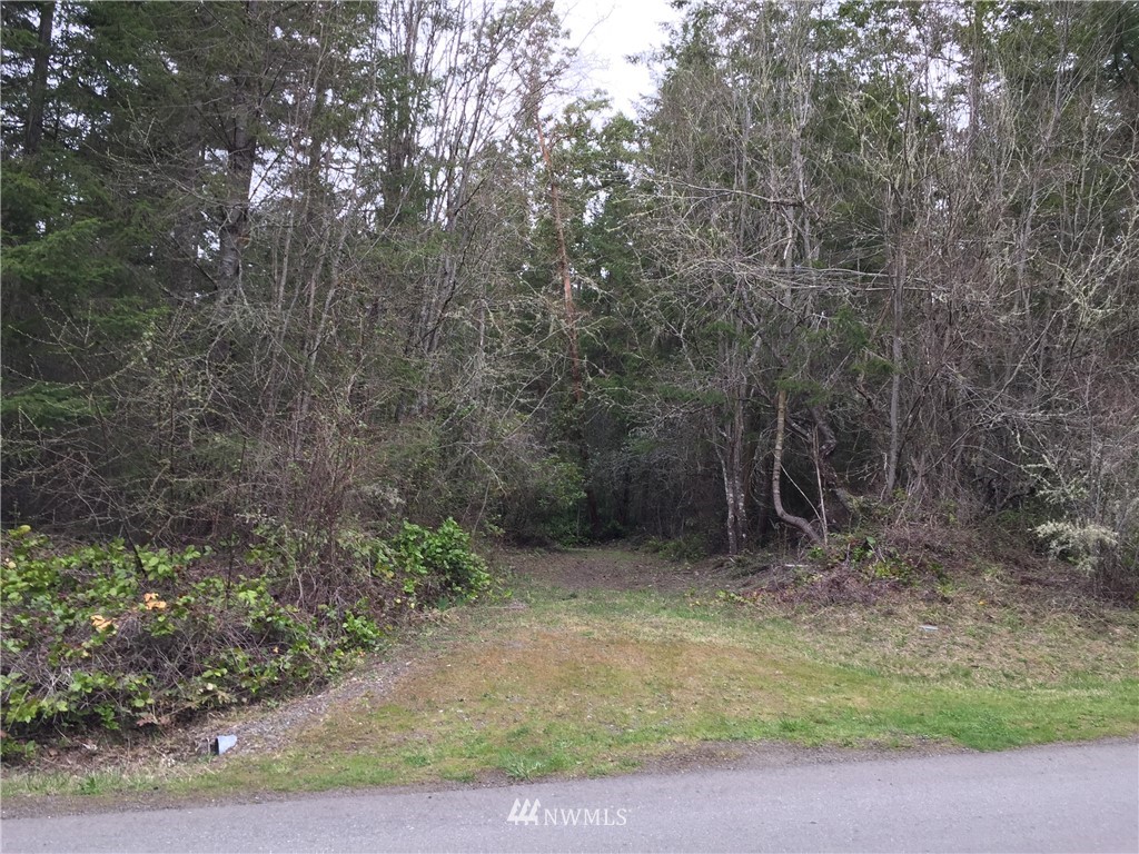 195 Rhapsody Drive Sequim, WA 98382 - Photo 12 of 25 Gallery Image 12