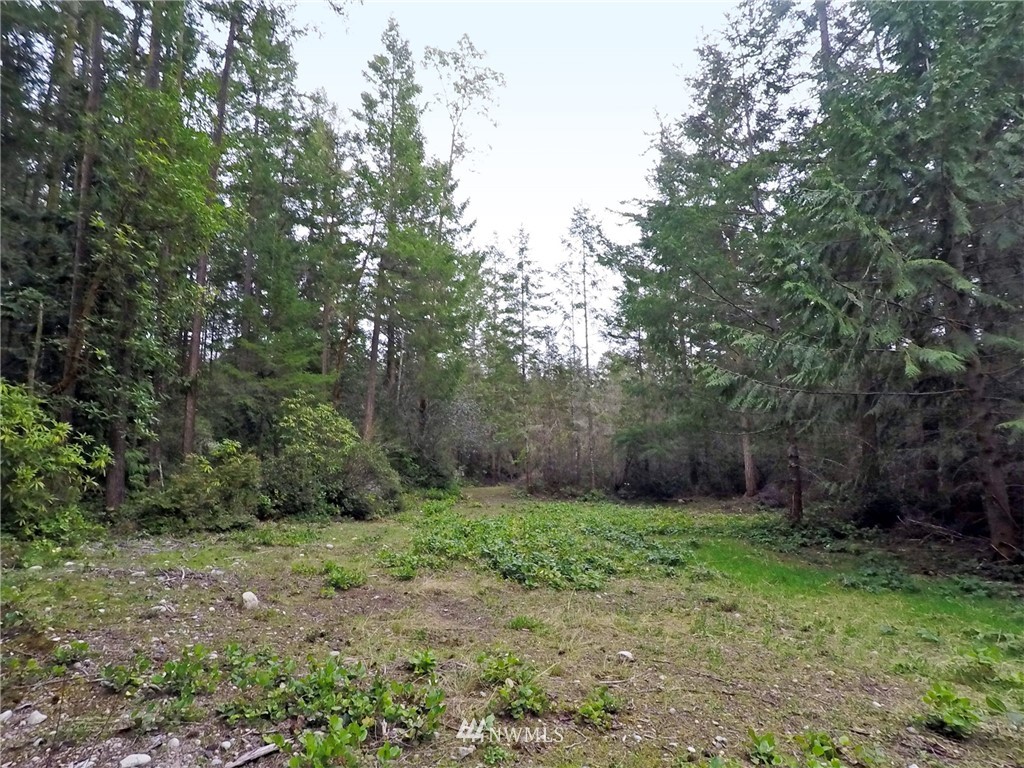 195 Rhapsody Drive Sequim, WA 98382 - Photo 17 of 25 Gallery Image 17