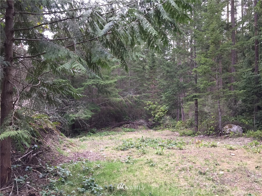 195 Rhapsody Drive Sequim, WA 98382 - Photo 24 of 25 Gallery Image 24