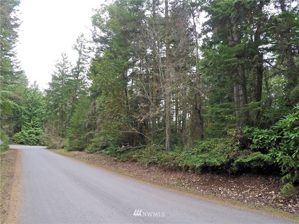 195 Rhapsody Drive Sequim, WA 98382 - Photo 6 of 25 Gallery Image 6