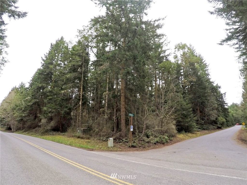 195 Rhapsody Drive Sequim, WA 98382 - Photo 8 of 25 Gallery Image 8