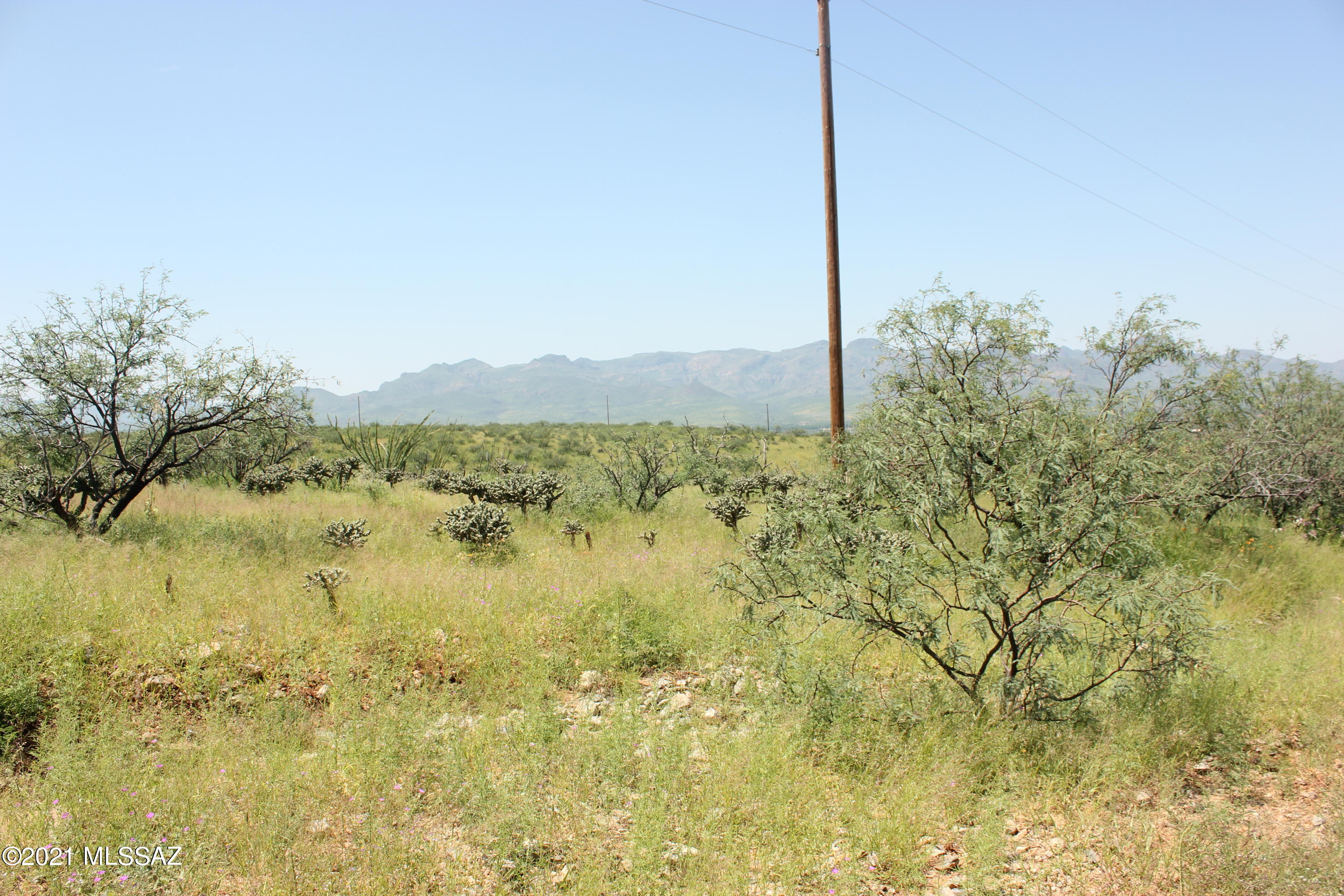 1754 Calle Tasa, Unit 10 Rio Rico, AZ 85648 - Photo 1 of 3 Gallery Image 1