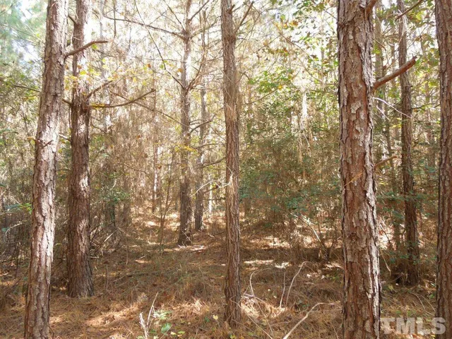 a view of outdoor space and a yard