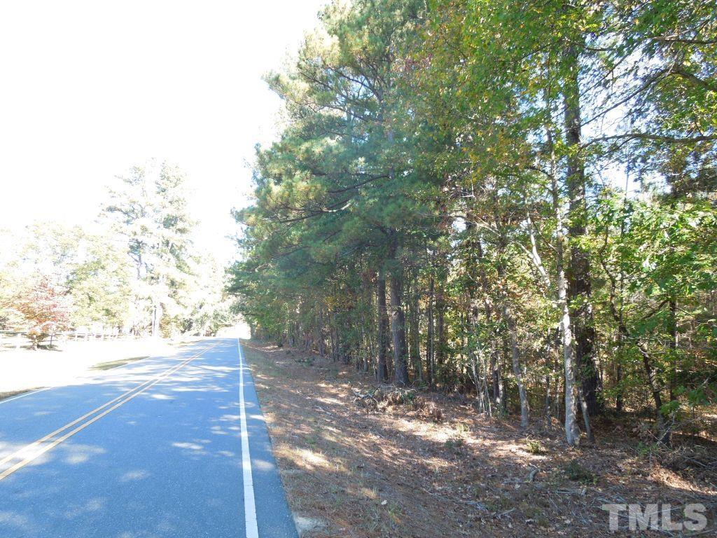 Mcduffie Road Biscoe, NC 27209 - Photo 12 of 15 a view of backyard with green space