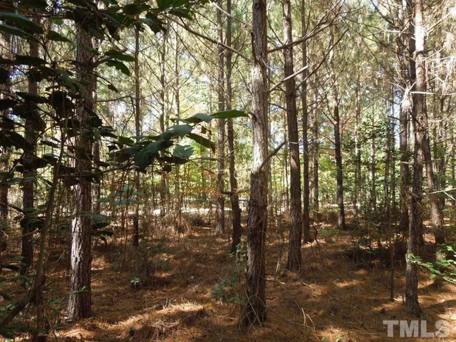 $300,000 | Mcduffie Road, Biscoe, NC 27209