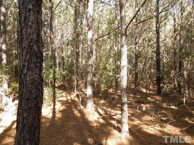 $300,000 | Mcduffie Road, Biscoe, NC 27209