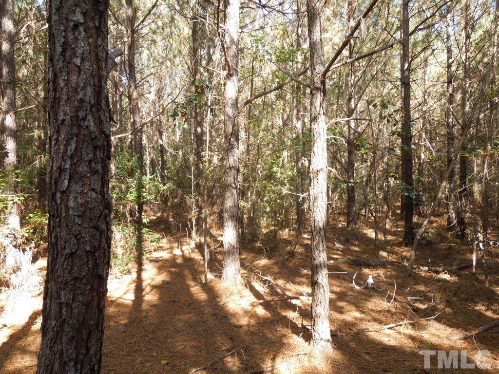 Mcduffie Road Biscoe, NC 27209 - Photo 14 of 15