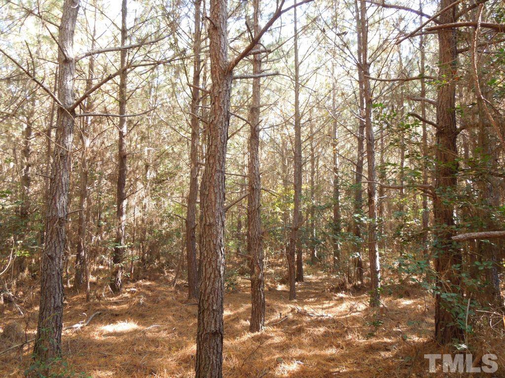 Mcduffie Road Biscoe, NC 27209 - Photo 2 of 15 a view of outdoor space and a yard