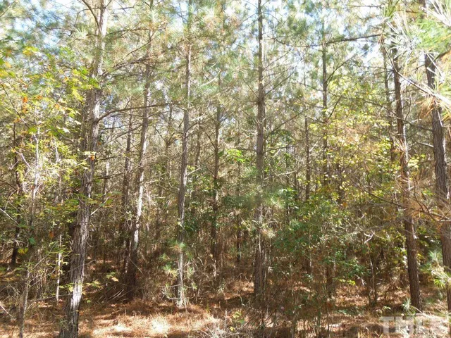 a view of a yard with plants and trees