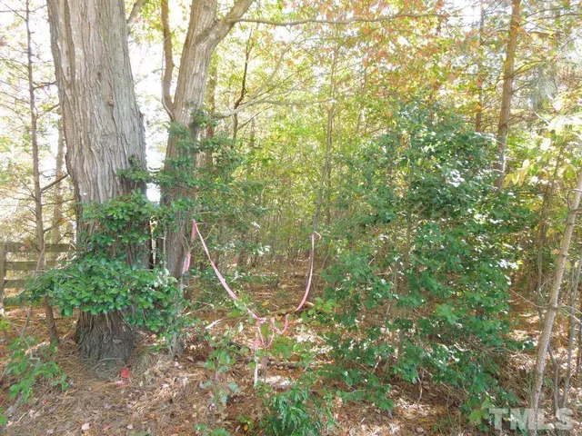 a view of an ocean and beach