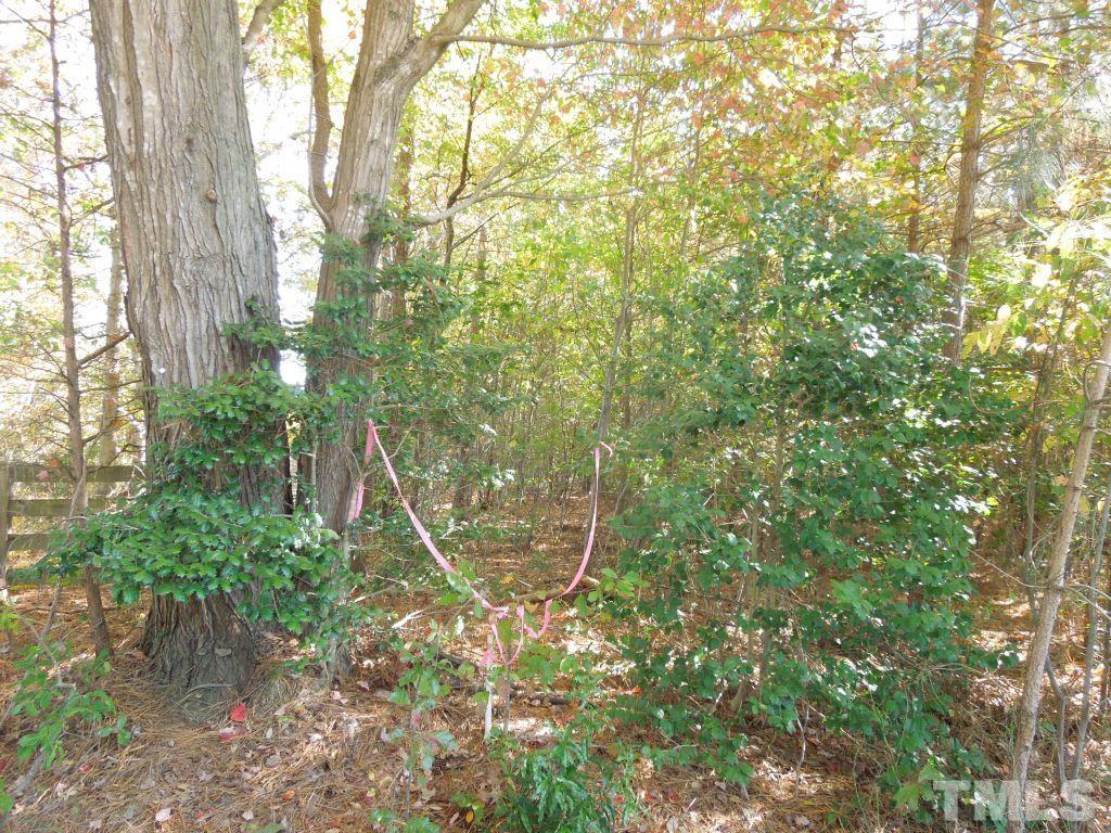 Mcduffie Road Biscoe, NC 27209 - Photo 8 of 15 a backyard of a house with lots of green space and a fountain