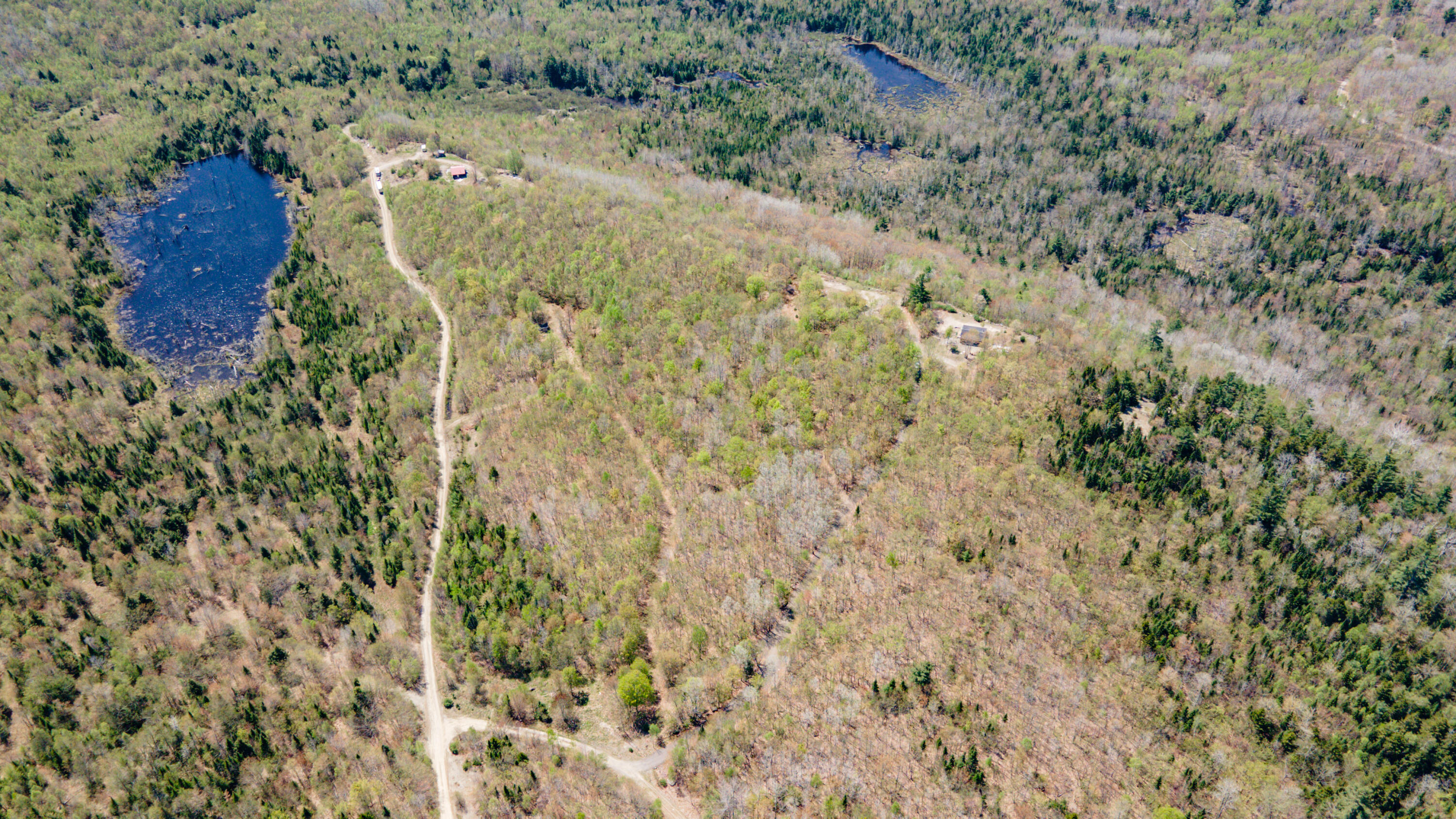 37-38 Our Camp Road Orland, ME 04472 - Photo 5 of 41 Exterior45