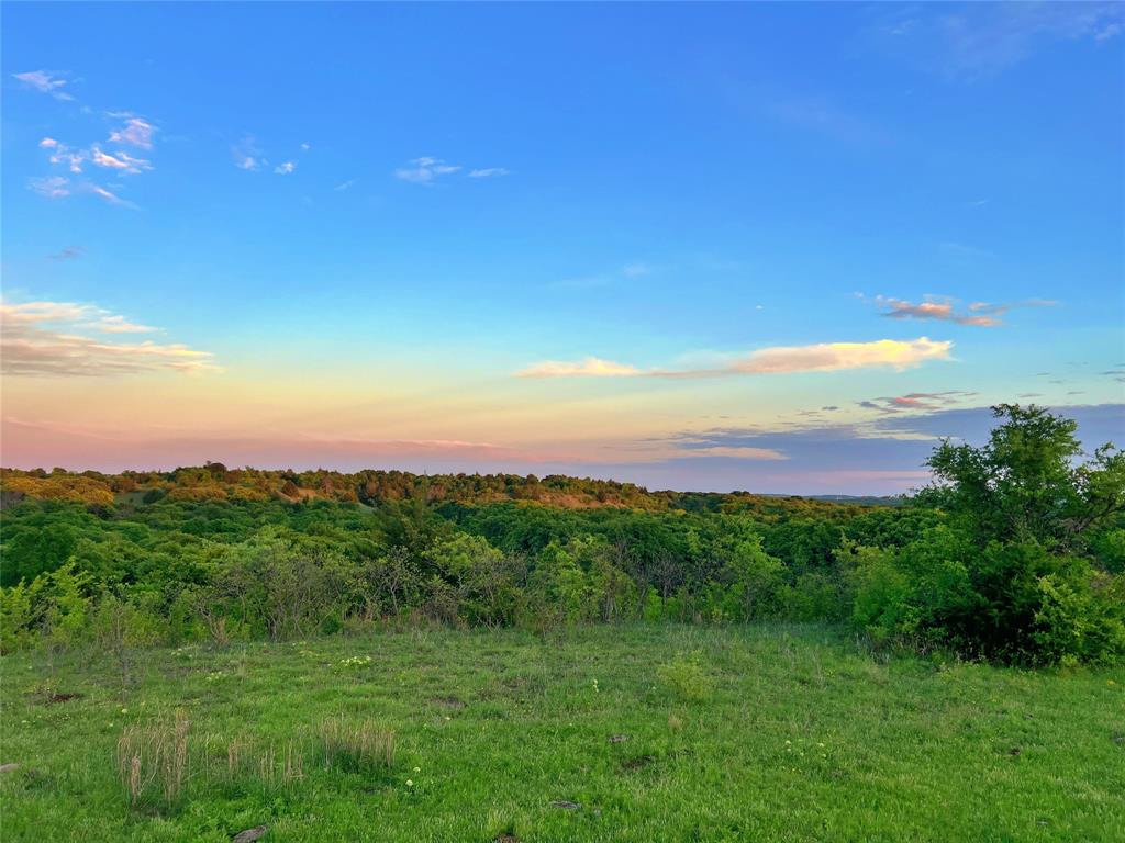 0 Fm 3206 St. Jo, TX 76265 - Photo 12 of 34