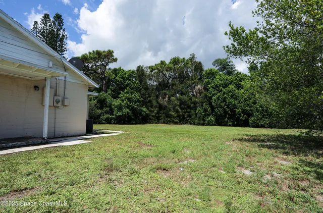 a view of a yard with an tree
