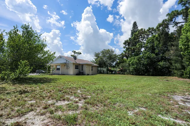 a view of a tree in a yard with a house
