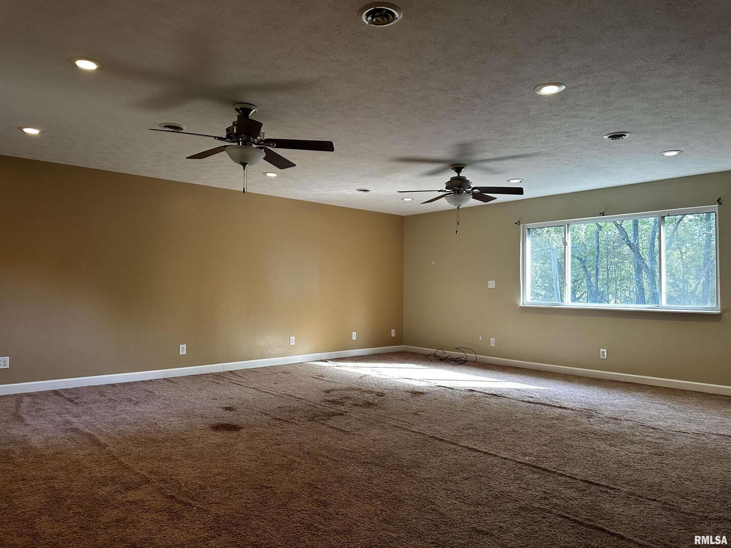 13253 North Greenbriar Road Carterville, IL 62918 - Photo 19 of 29