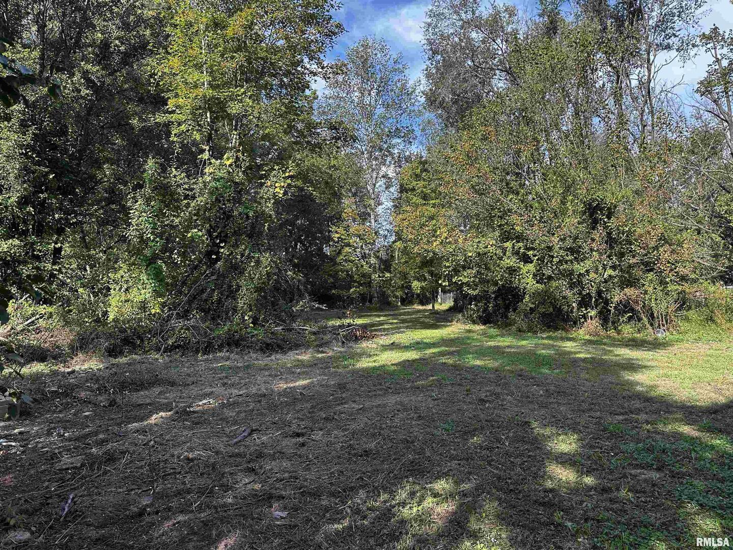 13253 North Greenbriar Road Carterville, IL 62918 - Photo 7 of 29
