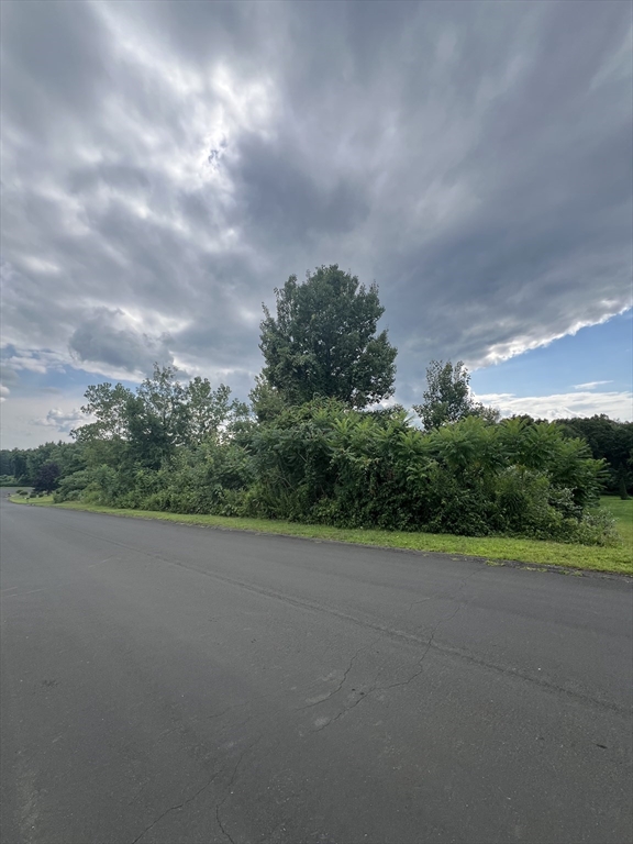 2 Hummell Lane Southwick, MA 01077 - Photo 1 of 3 a view of a big yard with plants and large trees