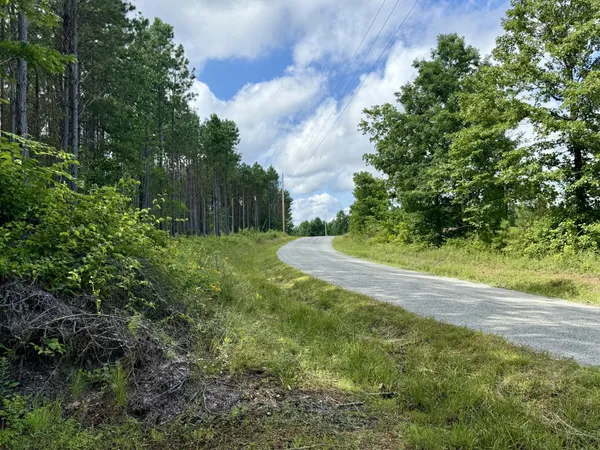 a view of a yard with plants and a trees