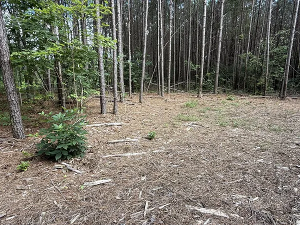 a backyard of a house with lots of green space and fountain