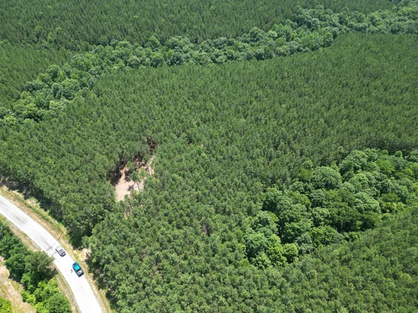 a view of a lush green forest with lots of trees