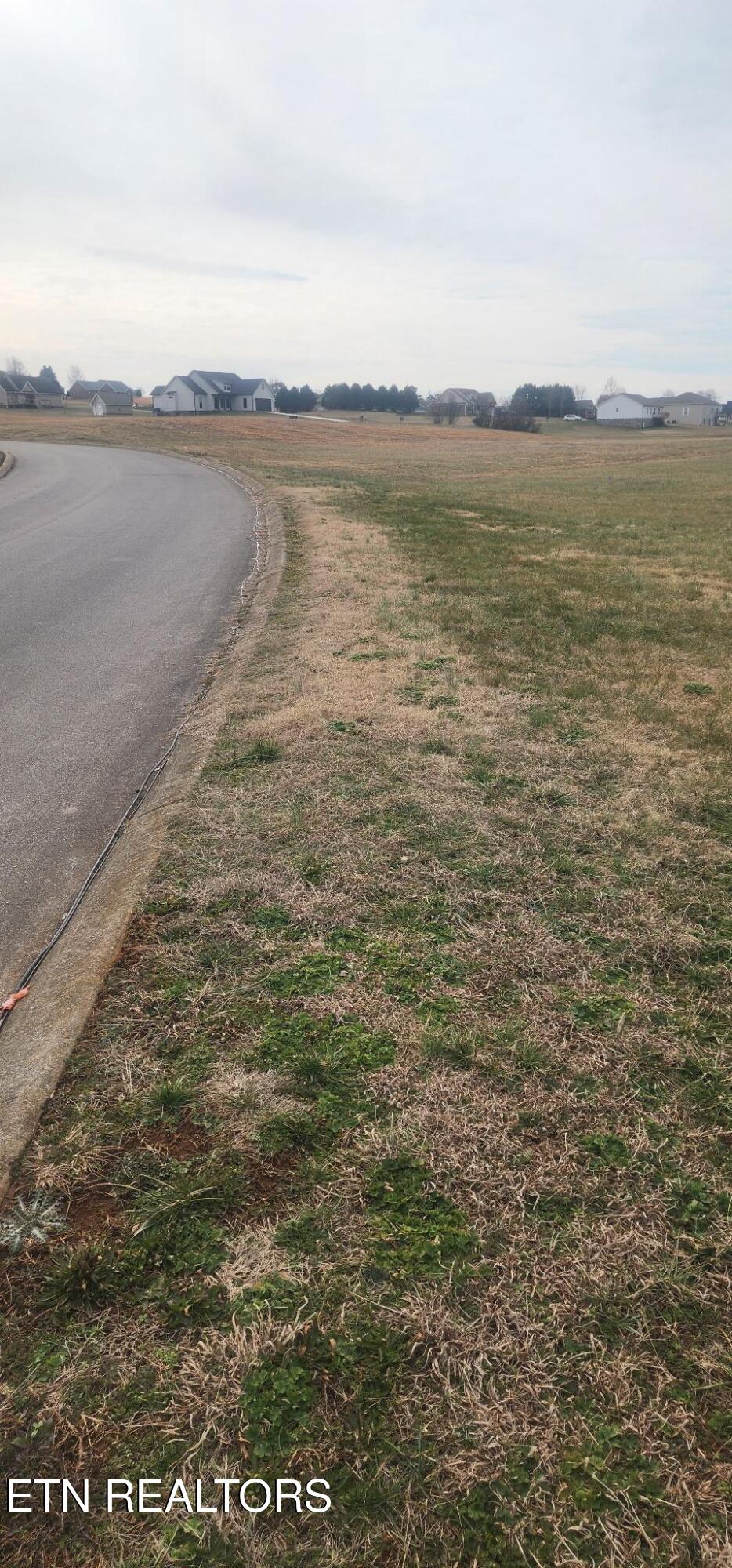 Magnolia Way Madisonville, TN 37354 - Photo 2 of 4 MAG WAY 3